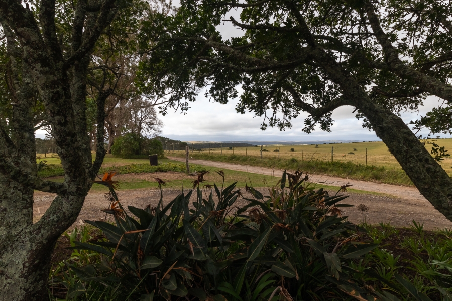 3 Bedroom Property for Sale in Alexandria Eastern Cape
